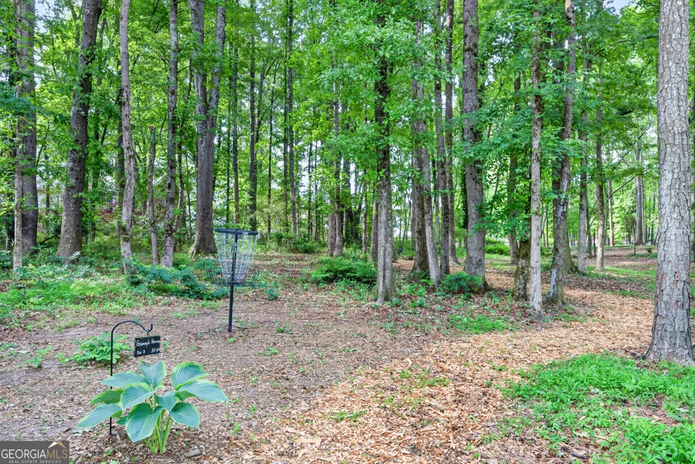 245 Ryans CT Sharpsburg, GA 30277