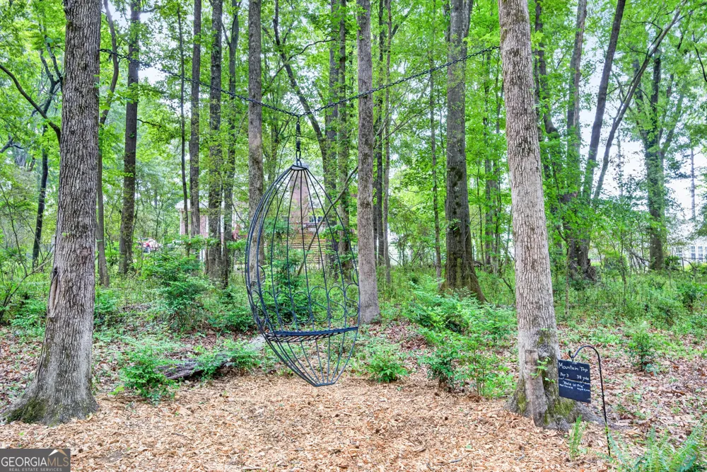 245 Ryans CT Sharpsburg, GA 30277