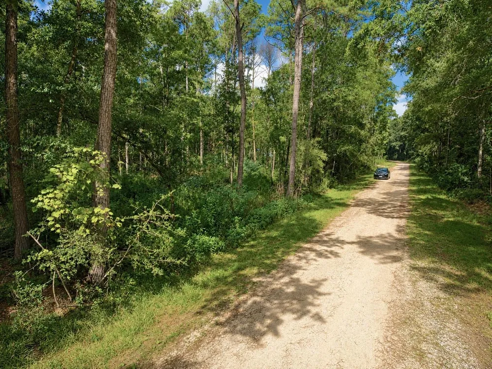 Largent Drive Plantersville, TX 77363