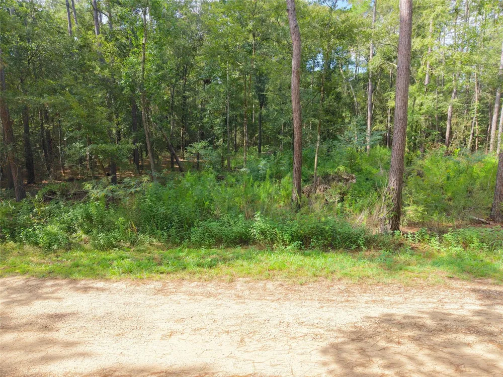 Largent Drive Plantersville, TX 77363