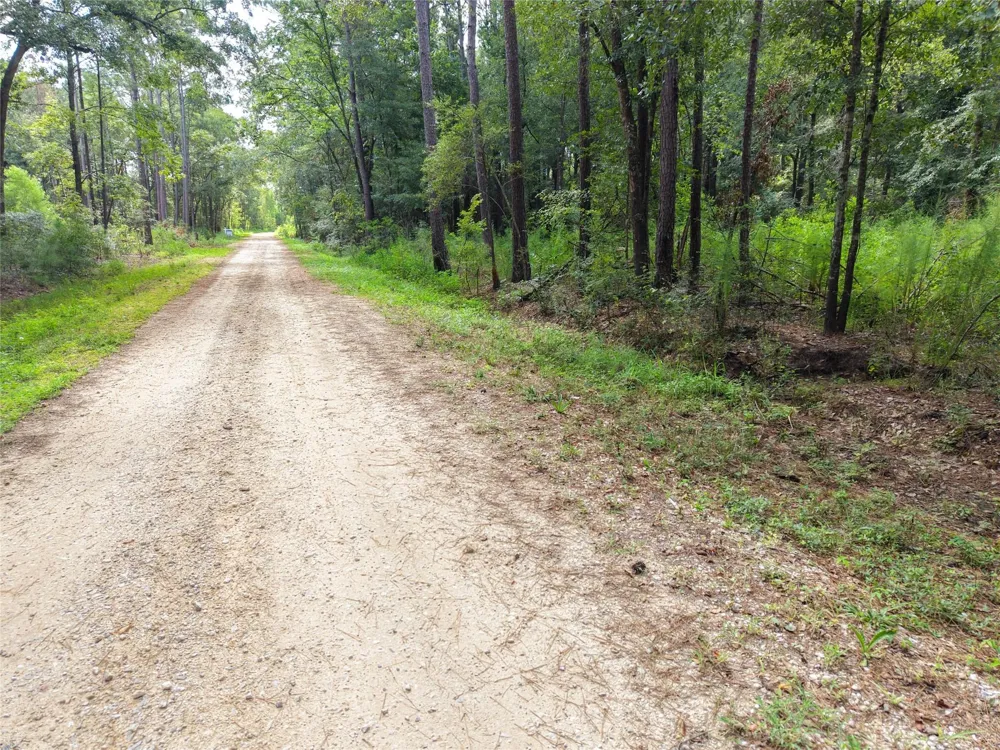 Largent Drive Plantersville, TX 77363