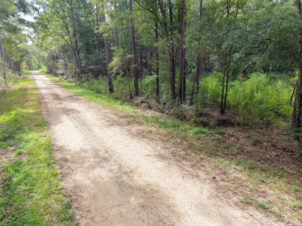 Largent Drive Plantersville, TX 77363