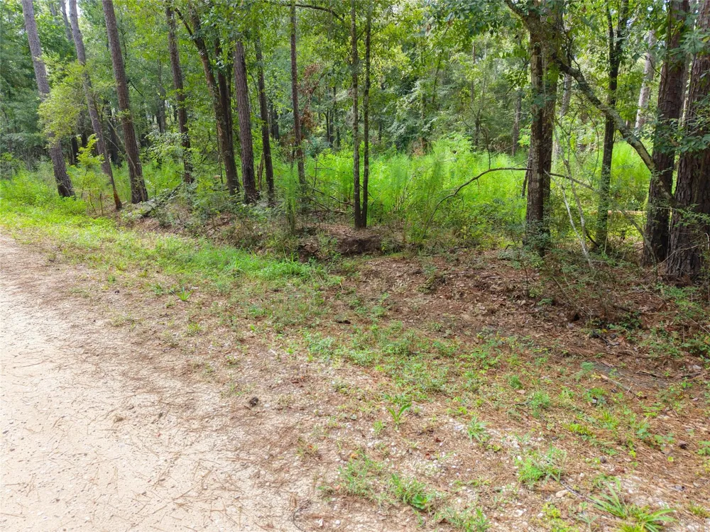 Largent Drive Plantersville, TX 77363