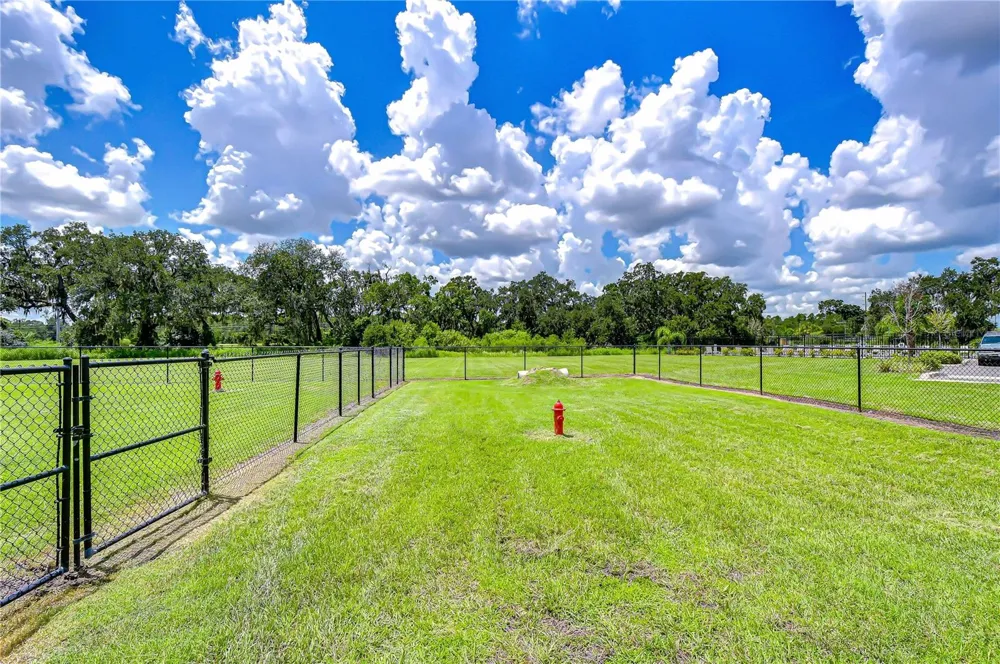 35651 BUTTONWEED TRAIL Zephyrhills, FL 33541