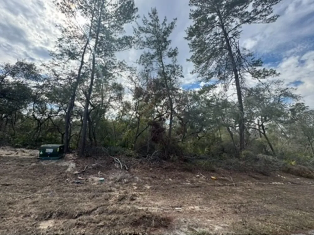 0 SW 25TH COURT ocala, FL 34473