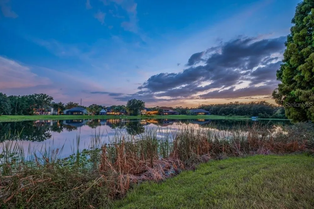 6217 KINGBIRD MANOR DRIVE Lithia, FL 33547