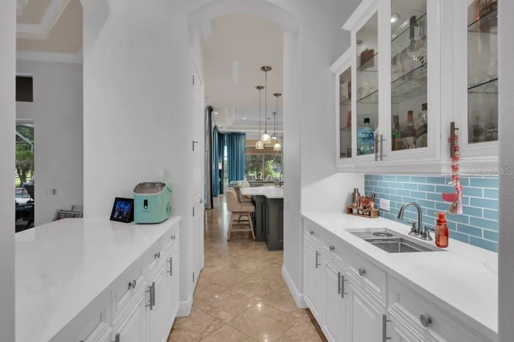 6217 KINGBIRD MANOR DRIVE Lithia, FL 33547