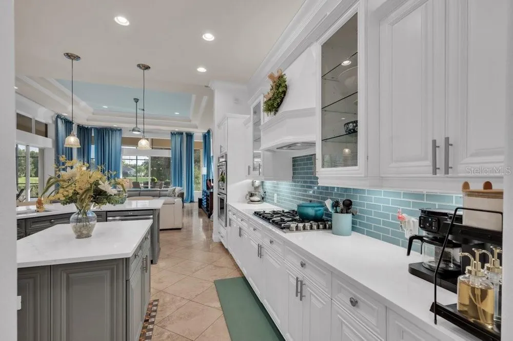 6217 KINGBIRD MANOR DRIVE Lithia, FL 33547