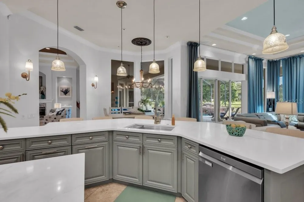 6217 KINGBIRD MANOR DRIVE Lithia, FL 33547