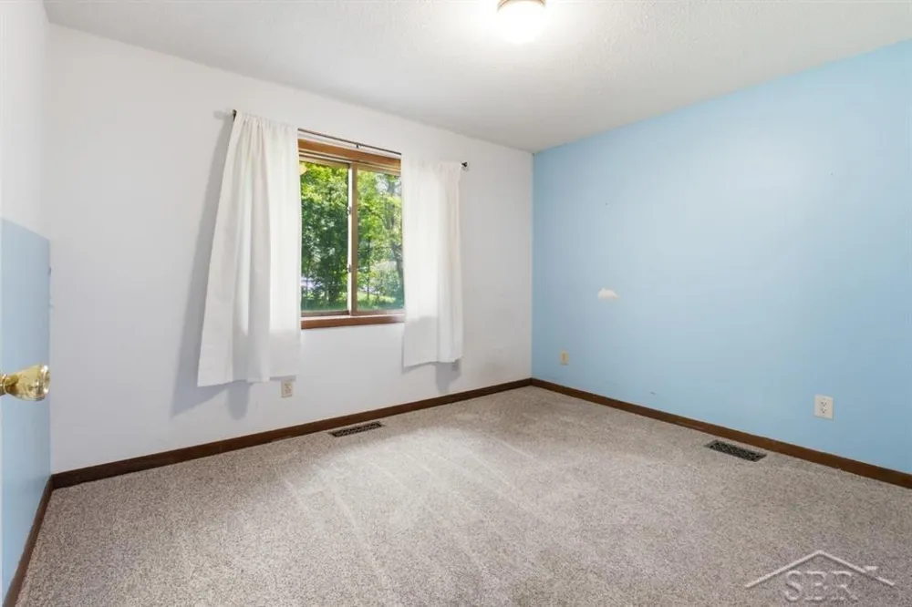 3161 Gil-Haven Court Jerome Township, MI 48657