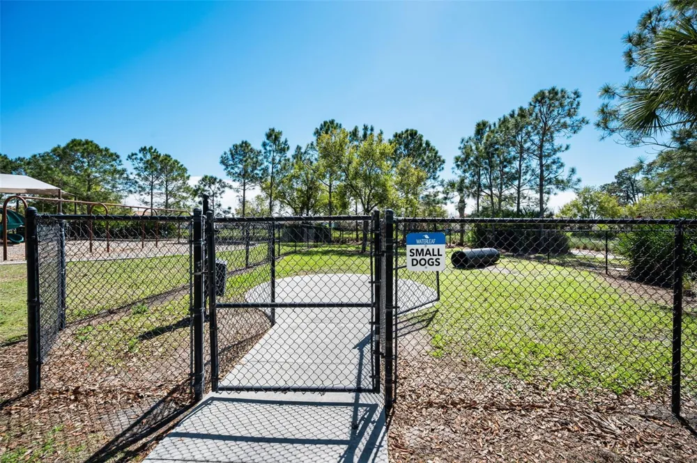 11923 CINNAMON FERN DRIVE Riverview, FL 33579