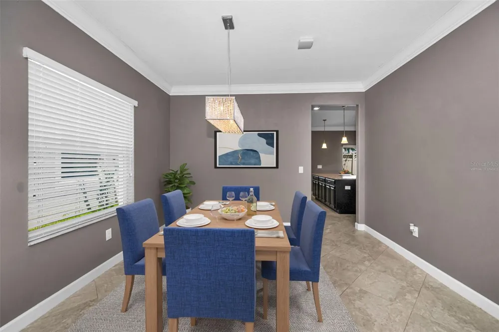 11923 CINNAMON FERN DRIVE Riverview, FL 33579