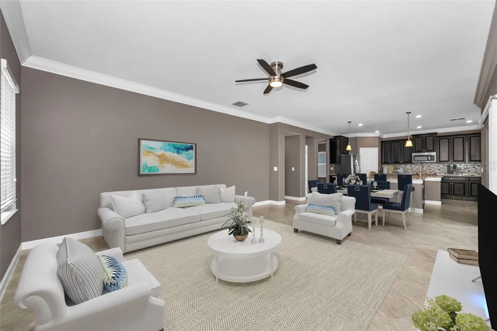 11923 CINNAMON FERN DRIVE Riverview, FL 33579