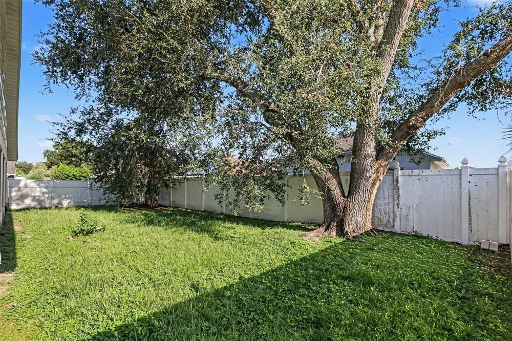 28809 WINDOVER ST Wesley Chapel, FL 33545
