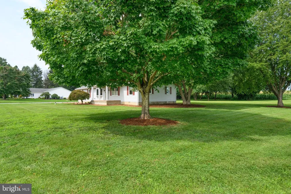 7982 RADCLIFFE ROAD Chestertown, MD 21620