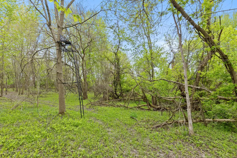 6th Avenue Bloomingdale, MI 49026