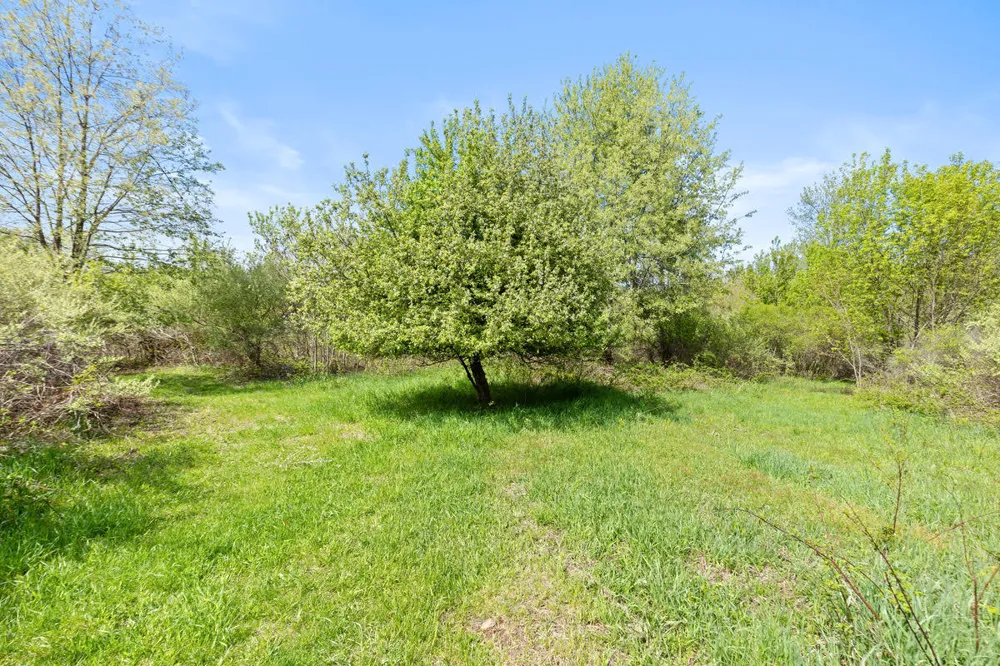 6th Avenue Bloomingdale, MI 49026