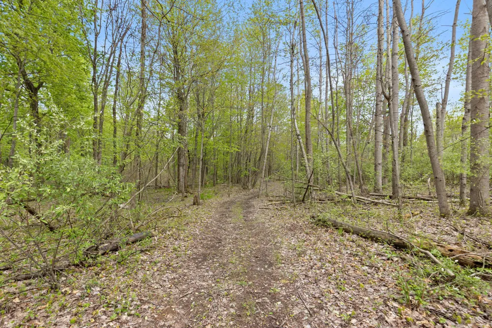 6th Avenue Bloomingdale, MI 49026