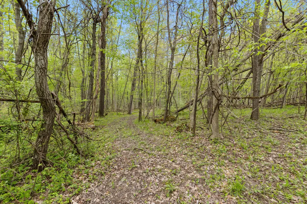 6th Avenue Bloomingdale, MI 49026