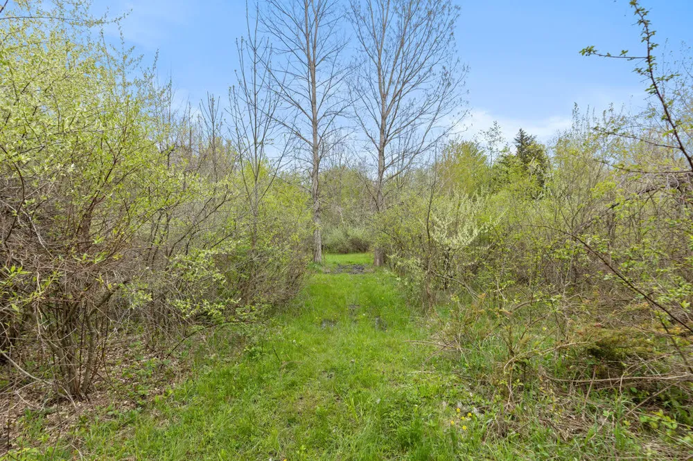 6th Avenue Bloomingdale, MI 49026