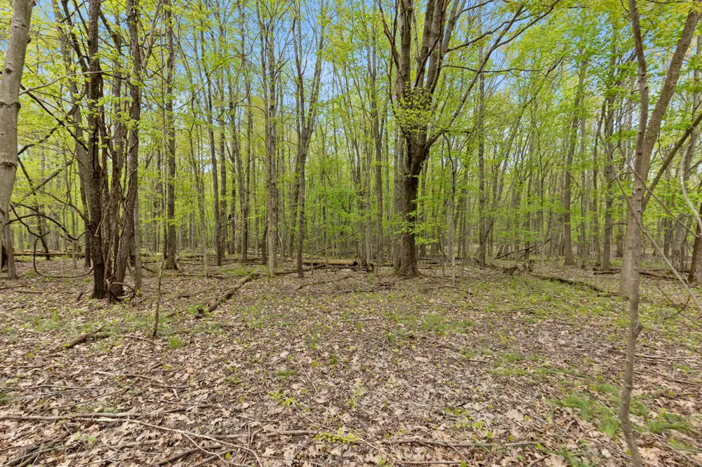 6th Avenue Bloomingdale, MI 49026