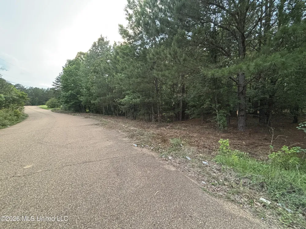 00 Meadow Dr Byram, MS 39272
