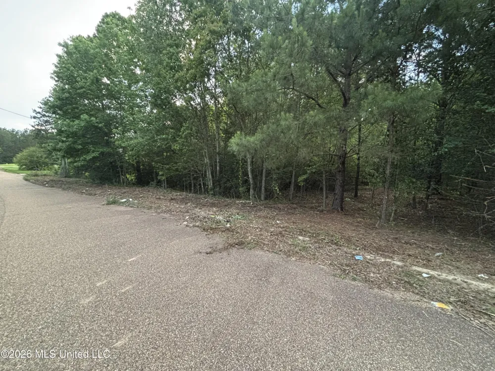 00 Meadow Dr Byram, MS 39272