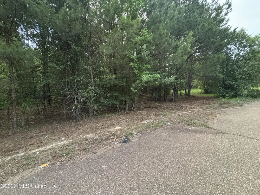 00 Meadow Dr Byram, MS 39272