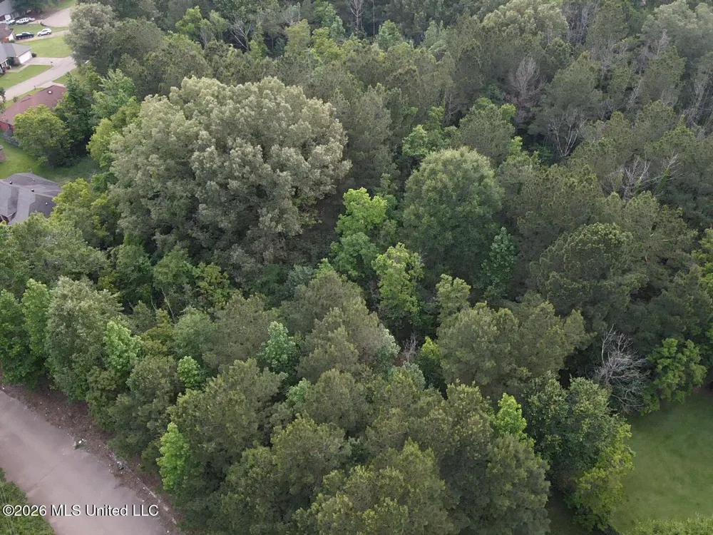 00 Meadow Dr Byram, MS 39272
