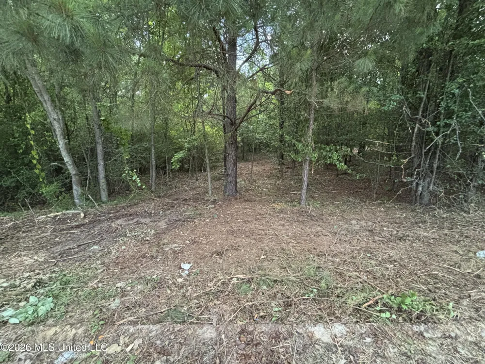 00 Meadow Dr Byram, MS 39272