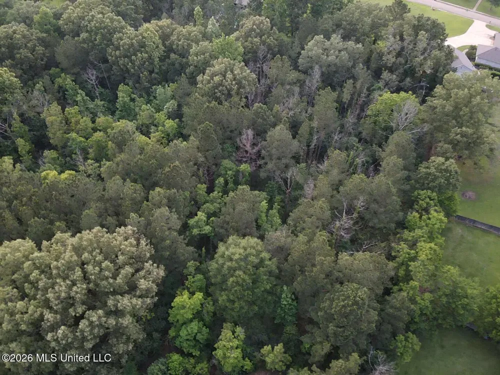 00 Meadow Dr Byram, MS 39272