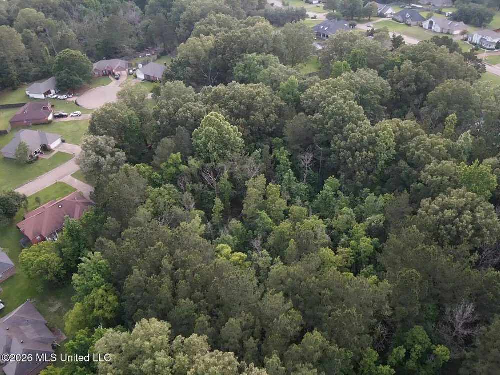00 Meadow Dr Byram, MS 39272