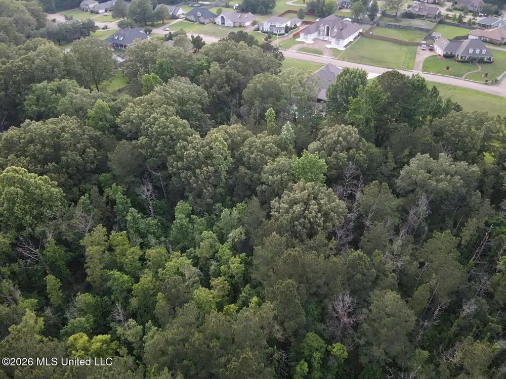 00 Meadow Dr Byram, MS 39272