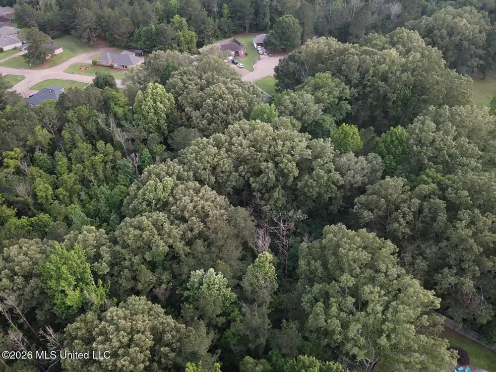 00 Meadow Dr Byram, MS 39272