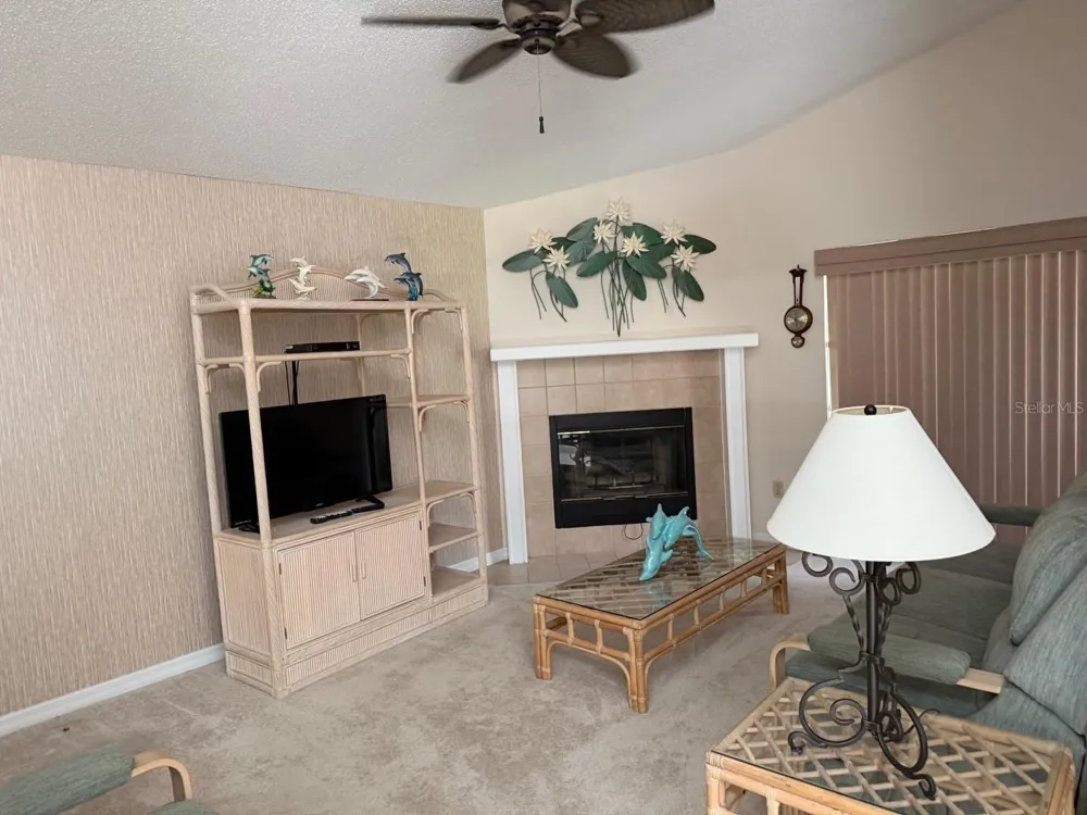 540 CEDAREDGE DRIVE New Smyrna Beach, FL 32168