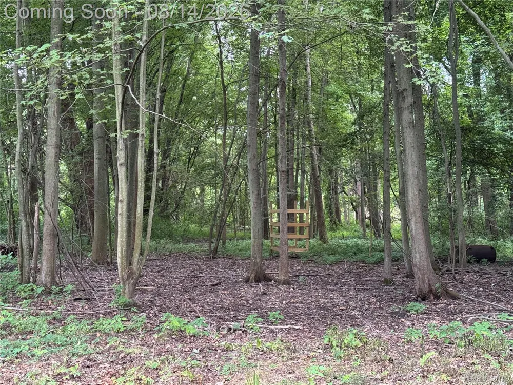 28747 West Road Huron Charter Township, MI 48164