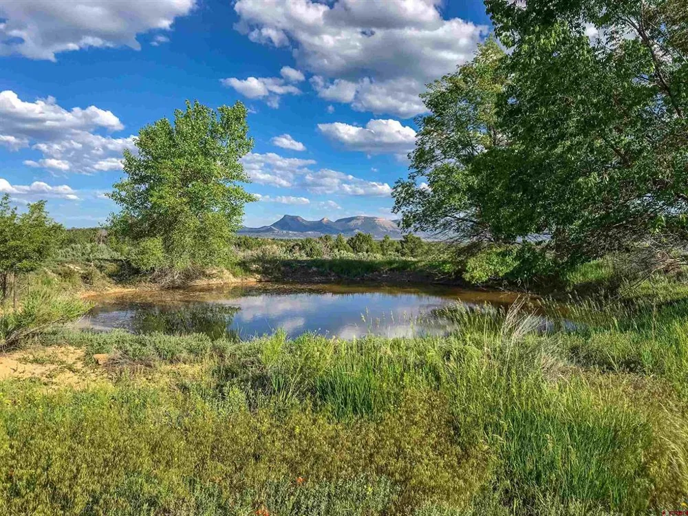 14300 Road 30.2 Dolores, CO 81323