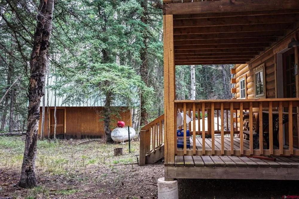 1043 Elk Street Jasper, CO 81132