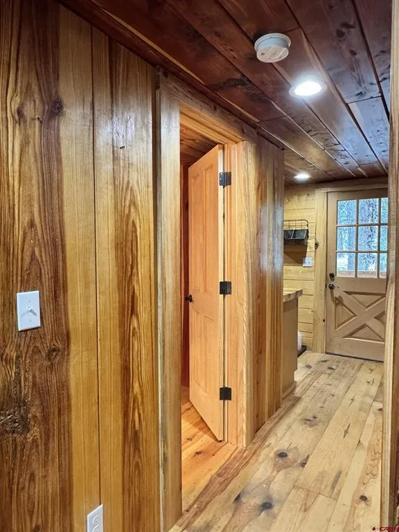 1043 Elk Street Jasper, CO 81132