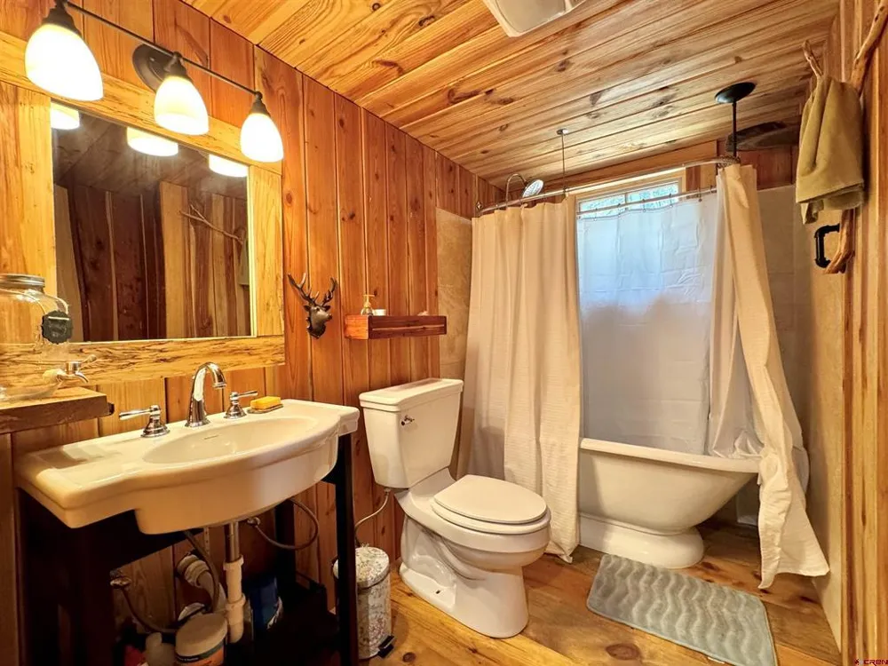 1043 Elk Street Jasper, CO 81132