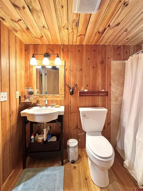 1043 Elk Street Jasper, CO 81132