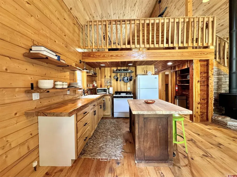 1043 Elk Street Jasper, CO 81132