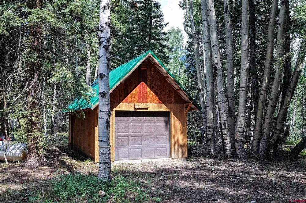 1043 Elk Street Jasper, CO 81132