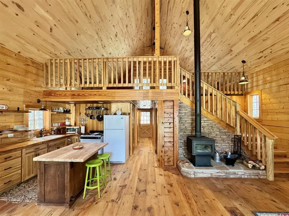 1043 Elk Street Jasper, CO 81132