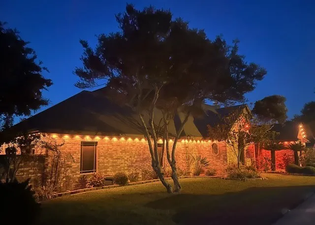 1825 Clarice Avenue Alice, TX 78332