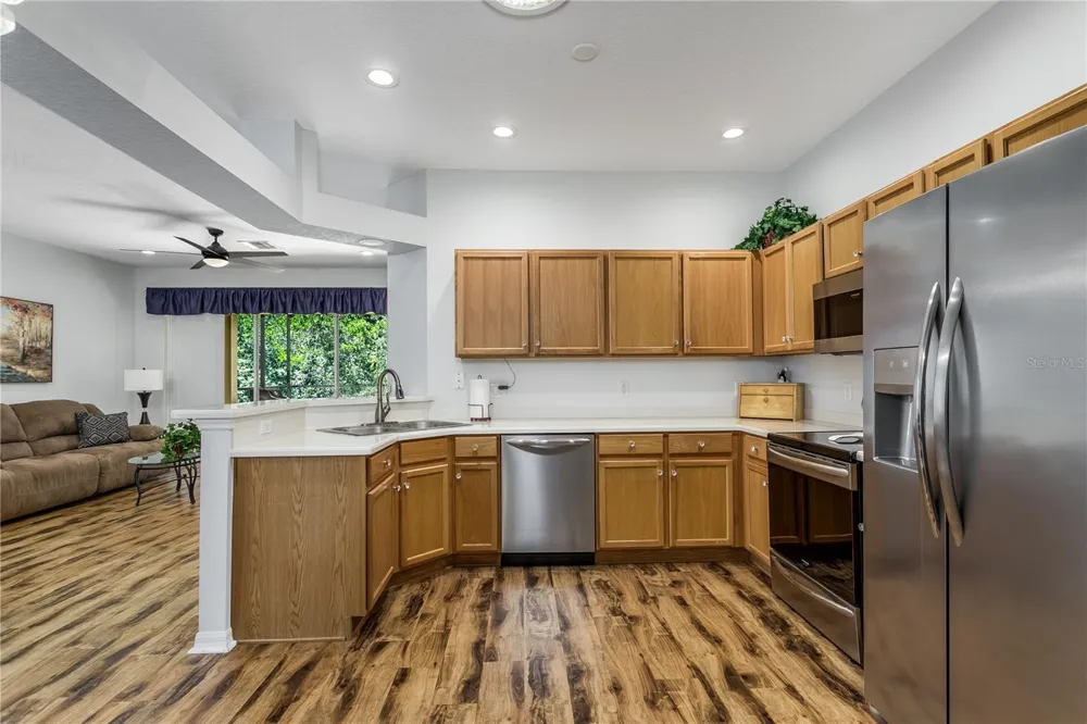 7235 CLEOPATRA DRIVE Land O Lakes, FL 34637