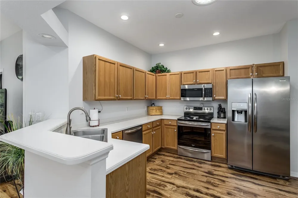 7235 CLEOPATRA DRIVE Land O Lakes, FL 34637