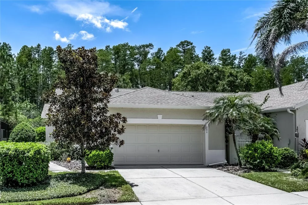 7235 CLEOPATRA DRIVE Land O Lakes, FL 34637