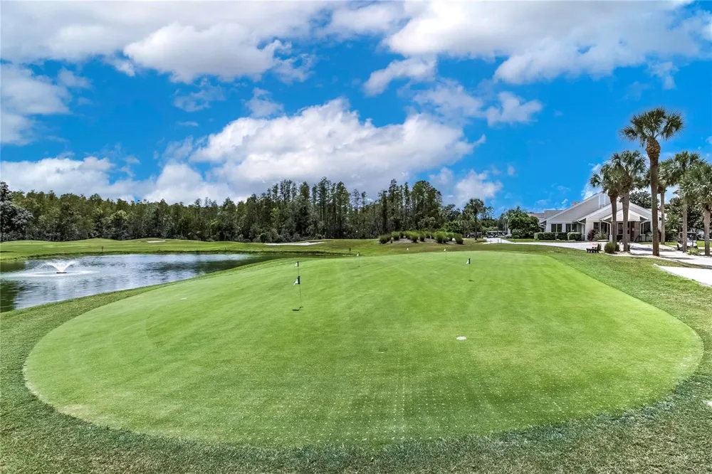 7235 CLEOPATRA DRIVE Land O Lakes, FL 34637