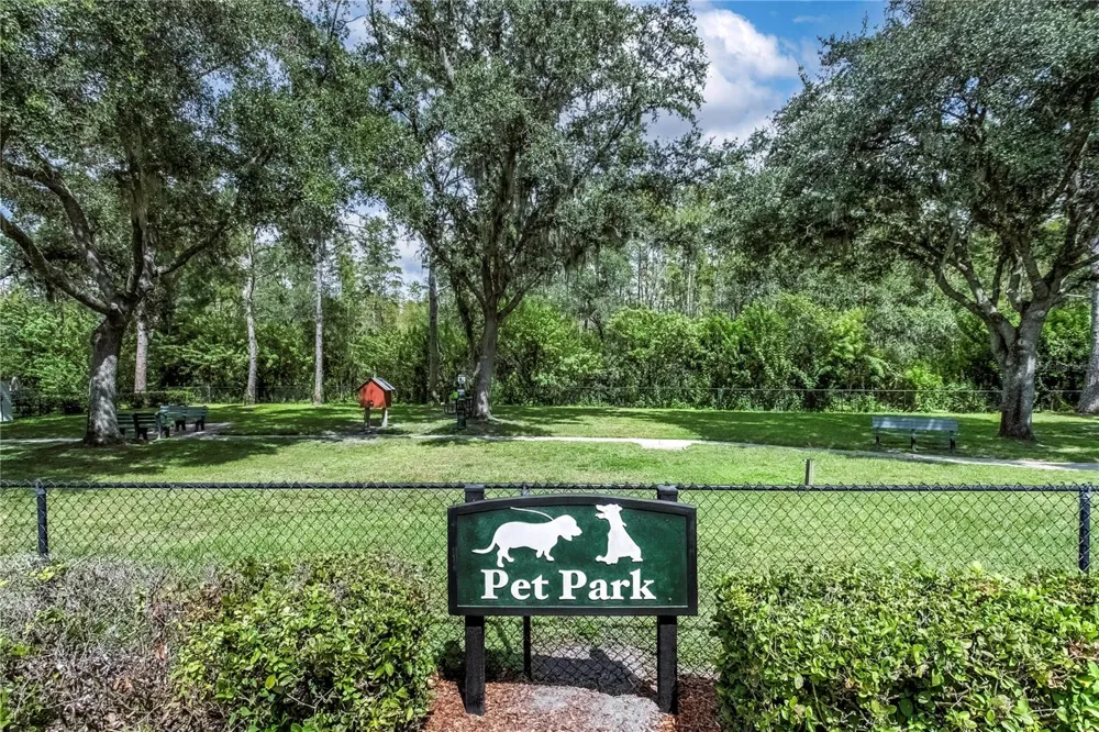 7235 CLEOPATRA DRIVE Land O Lakes, FL 34637